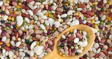 lots of beans