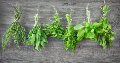 Homesteading