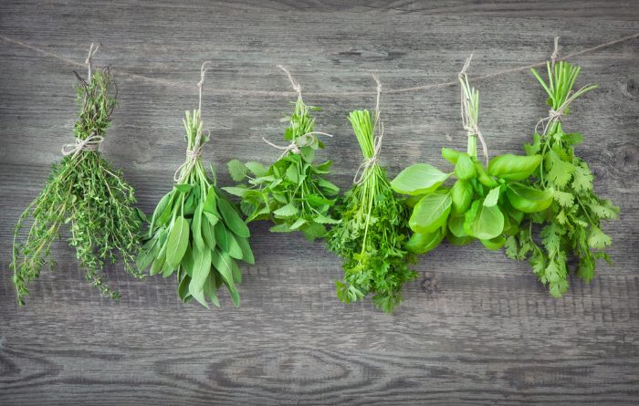 Homesteading