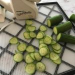 How To Dehydrate Cucumbers-Amazing Snacks