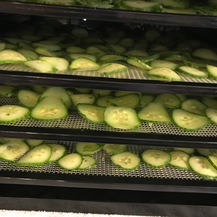 How To Dehydrate Cucumbers-Amazing Snacks