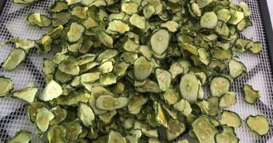 Dehydrated cucumber slices on rack