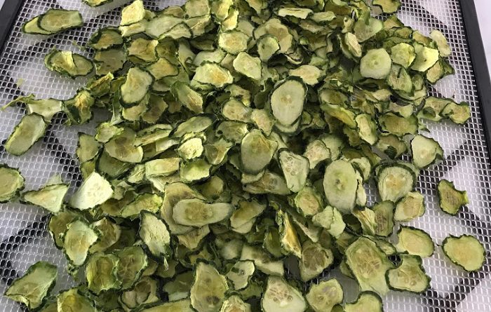 Dehydrated cucumber slices on rack
