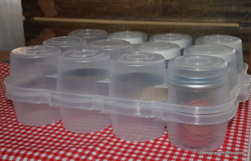 safe food storage container