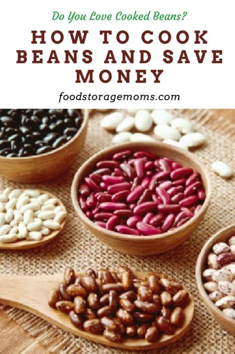 How To Cook Beans and Save Money