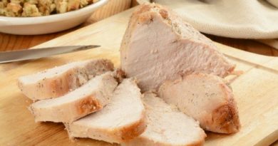 lThanksgiving leftover turkey