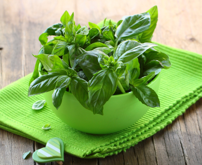 Grow Basil