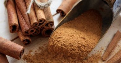 cinnamon squares