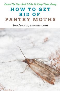 How To Get Rid Of Pantry Moths - Food Storage Moms