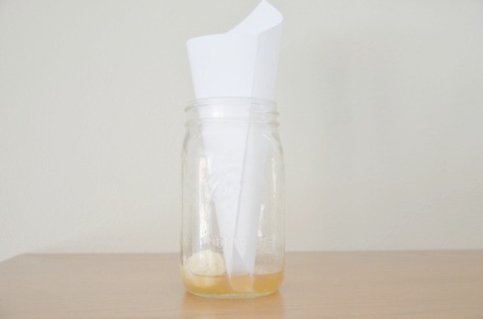 Fruit Flies In A Jar