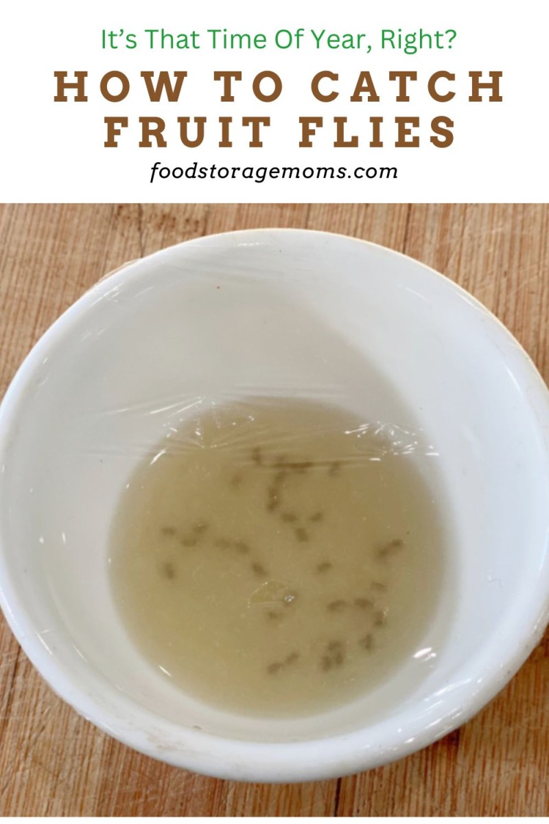 How To Catch Fruit Flies Food Storage Moms