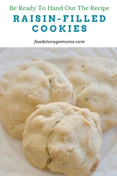 Raisin Filled Cookies Ready To Eat