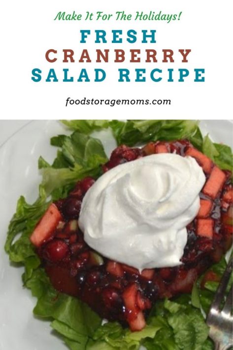 Fresh Cranberry Salad Recipe