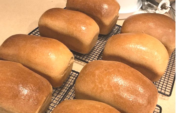 whole wheat bread
