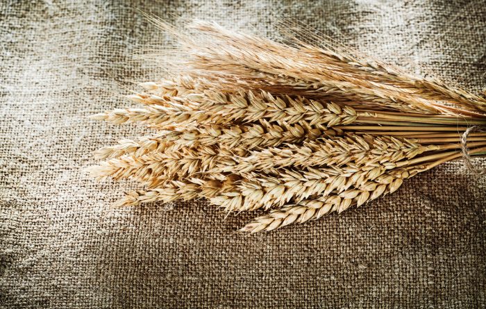 Grind Wheat