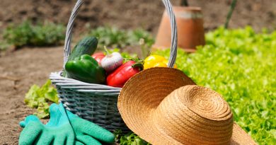 Garden Tips