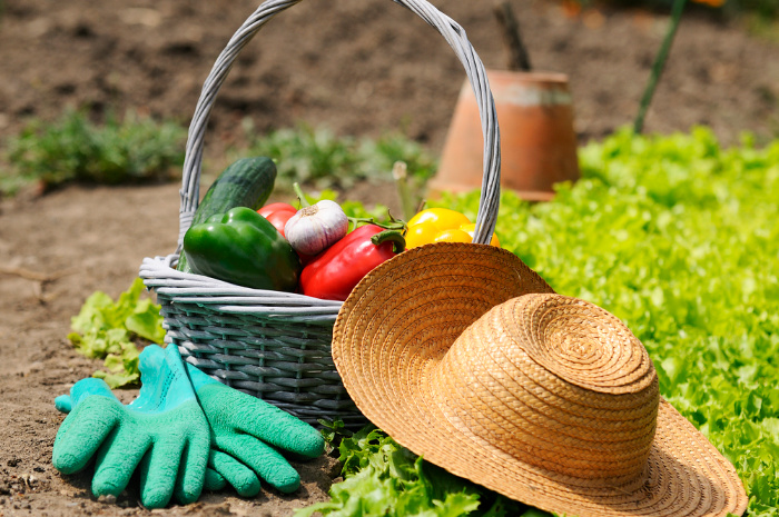 Garden Tips For Early Spring