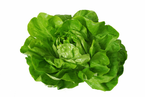 Lettuce