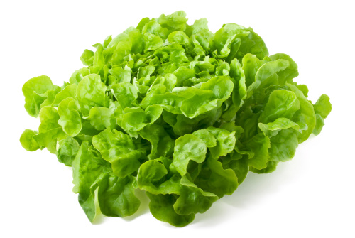 Lettuce