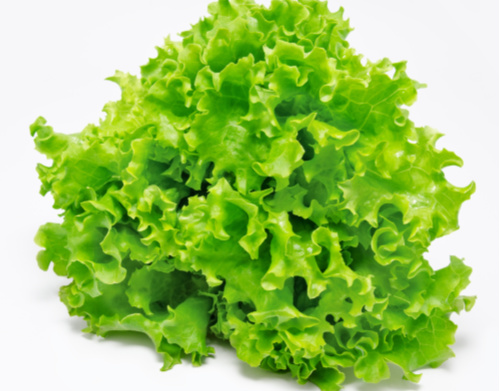 Lettuce