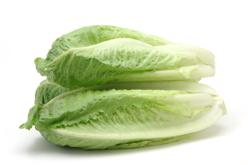 Lettuce