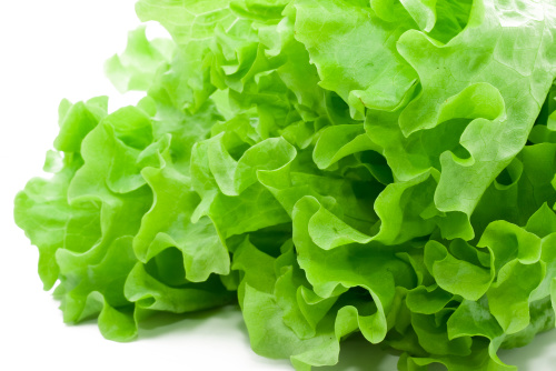 Lettuce