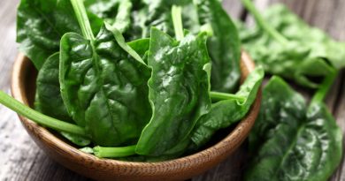 Spinach Recipes