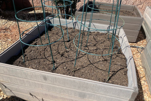 What To Plant In April