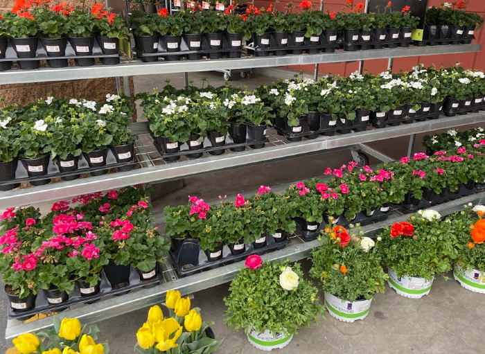 What To Stock Up On In April