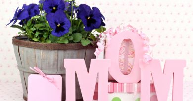 Garden Gift Ideas