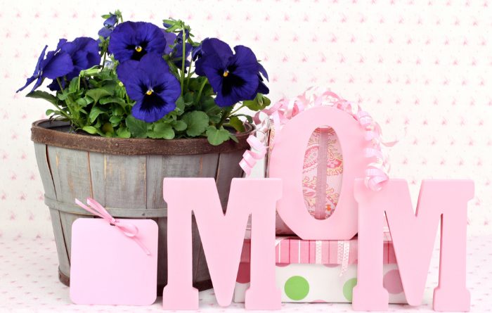 Garden Gift Ideas