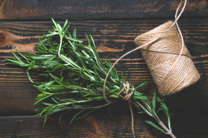 Growing Rosemary-Everything You Need To Know