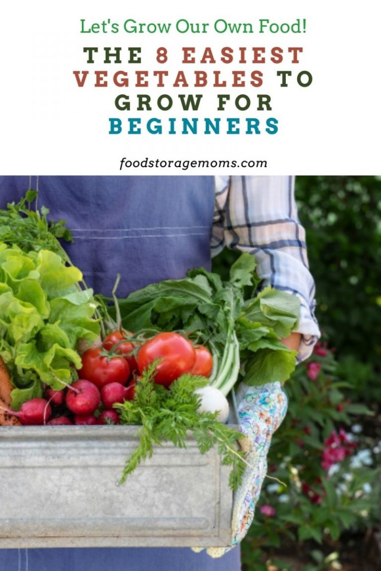 The 8 Easiest Vegetables To Grow For Beginners Food Storage Moms