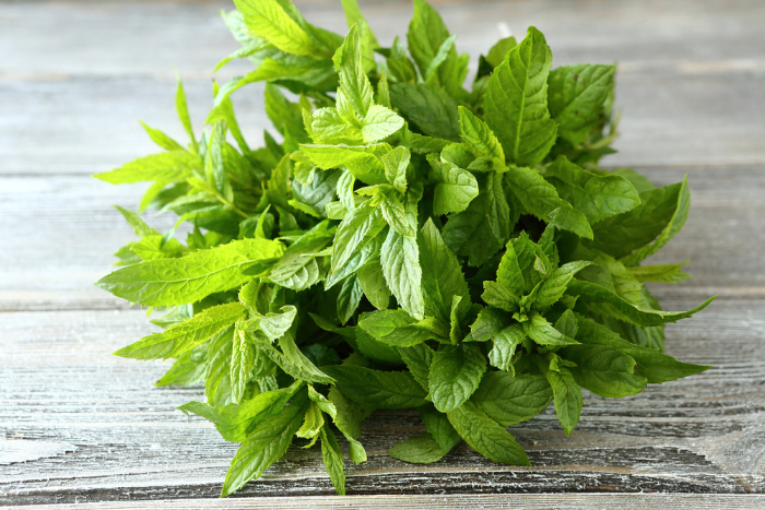 Mint or Peppermint on a board