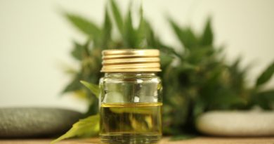 CBD VS Marijuana