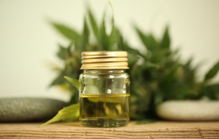 CBD VS Marijuana
