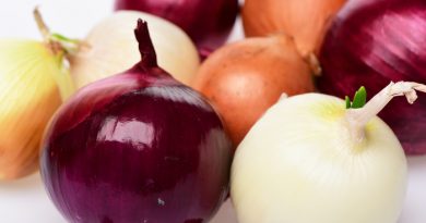 Growing Onions