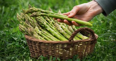 Asparagus