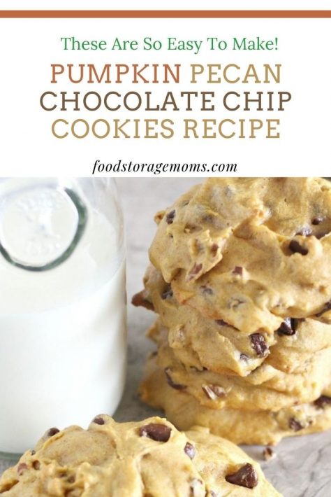 Pumpkin Pecan Chocolate Chip Cookie Recipe