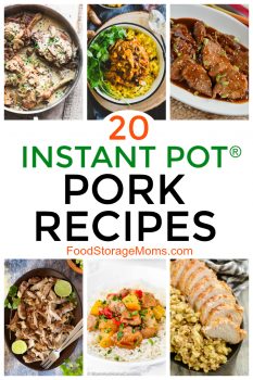 20 Instant Pot® Pork Recipes - Food Storage Moms