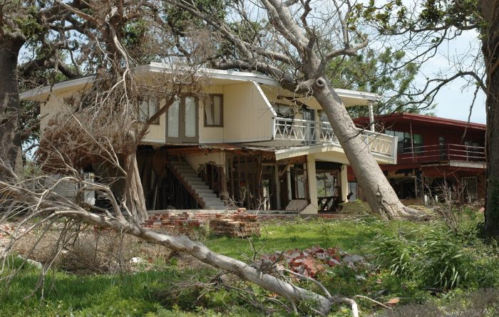 Story From A Hurricane Survivor