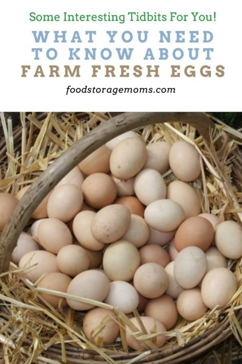 What You Need to Know About Farm Fresh Eggs