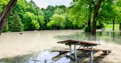 12 Types of Natural Disasters to Prepare For