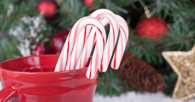 20 Festive Peppermint Desserts