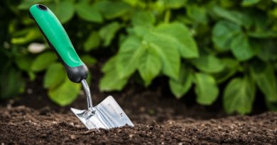 How to Improve Your Garden Soil