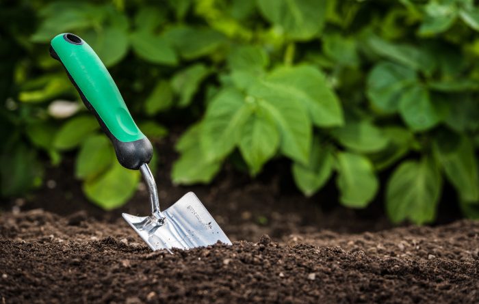 How to Improve Your Garden Soil