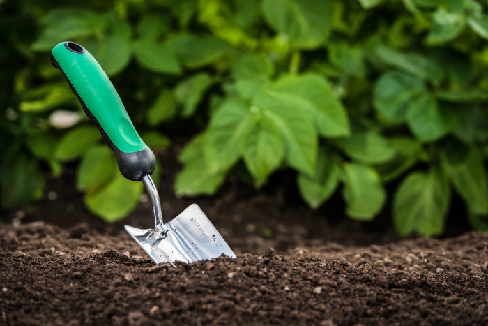 How to Improve Your Garden Soil