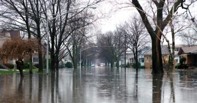 How to Keep Your Food Safe in the Midst of Disasters