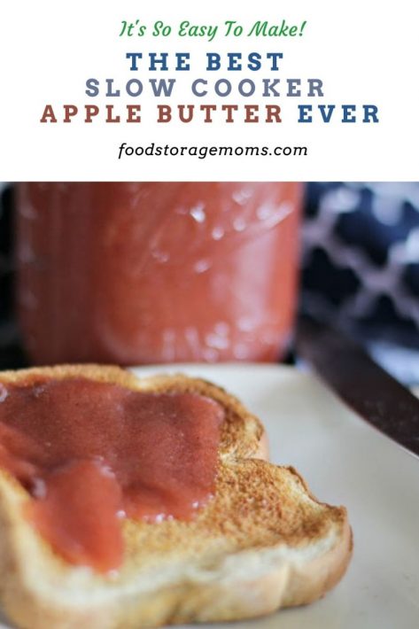 The Best Slow Cooker Apple Butter Ever