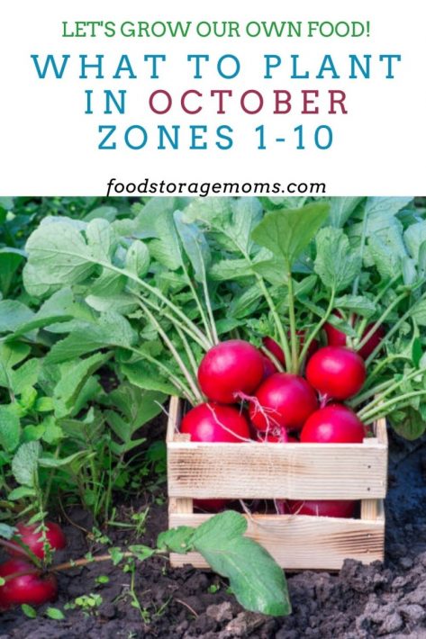 What To Plant In October-Zones 1-10 